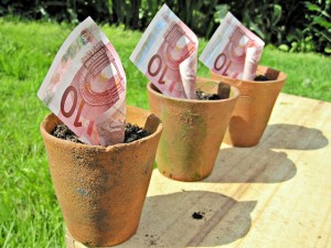 Euros - Niet altijd even gemakkelijk te oogsten